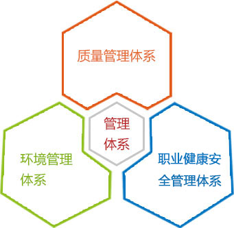 管理體系圖.jpg